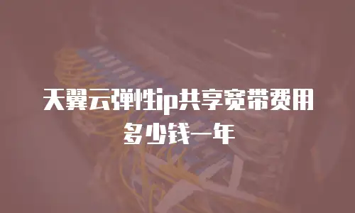 天翼云弹性ip共享宽带费用多少钱一年