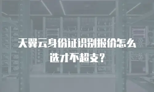 天翼云身份证识别报价怎么选才不超支？