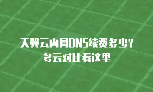 天翼云内网DNS续费多少？多云对比看这里