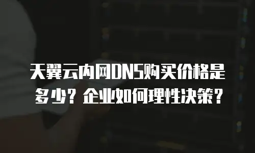 天翼云内网DNS购买价格是多少？企业如何理性决策？