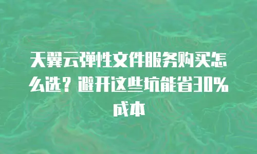天翼云弹性文件服务购买怎么选？避开这些坑能省30%成本