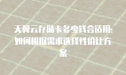天翼云存储卡多少钱合适用：如何根据需求选择性价比方案