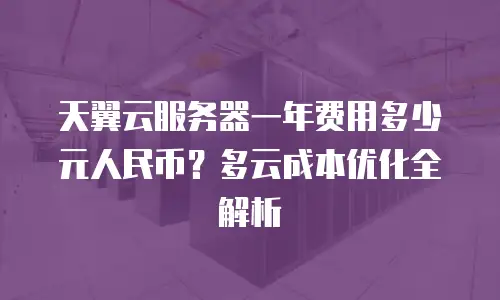天翼云服务器一年费用多少元人民币？多云成本优化全解析