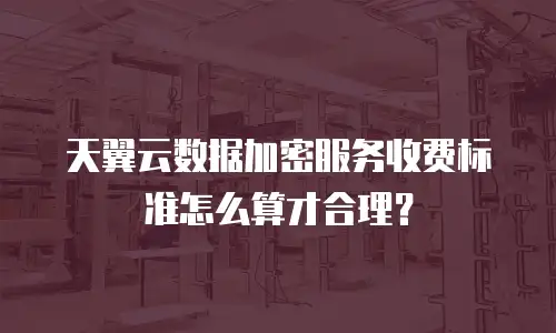 天翼云数据加密服务收费标准怎么算才合理？