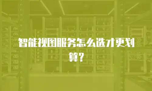 智能视图服务怎么选才更划算？