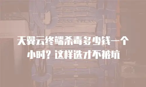 天翼云终端杀毒多少钱一个小时？这样选才不被坑