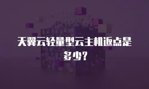 天翼云轻量型云主机返点是多少？