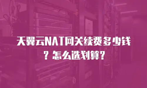 天翼云NAT网关续费多少钱？怎么选划算？