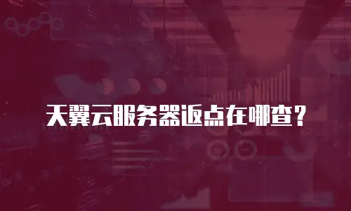 天翼云服务器返点在哪查？