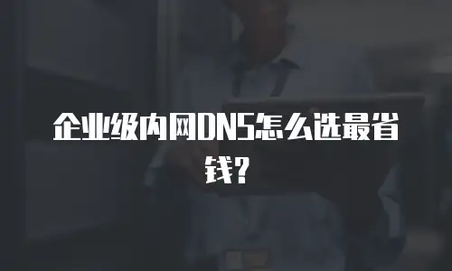 企业级内网DNS怎么选最省钱？