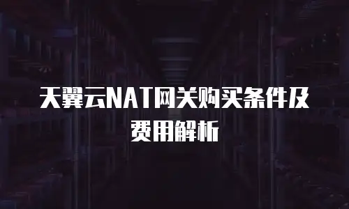 天翼云NAT网关购买条件及费用解析