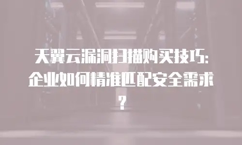 天翼云漏洞扫描购买技巧：企业如何精准匹配安全需求？