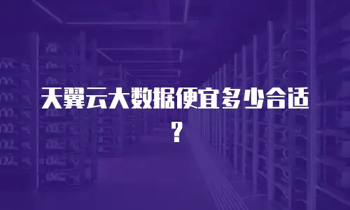 天翼云大数据便宜多少合适？
