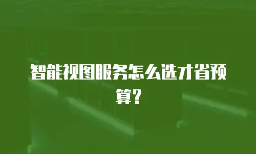 智能视图服务怎么选才省预算？