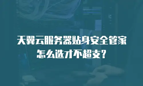 天翼云服务器贴身安全管家怎么选才不超支？