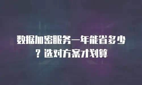 数据加密服务一年能省多少？选对方案才划算