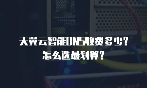 天翼云智能DNS收费多少？怎么选最划算？