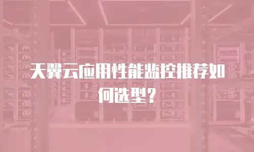 天翼云应用性能监控推荐如何选型？