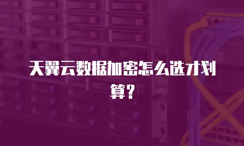 天翼云数据加密怎么选才划算？