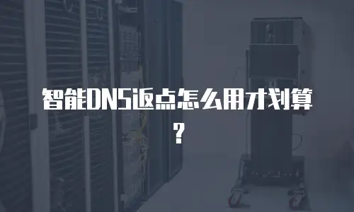 智能DNS返点怎么用才划算？