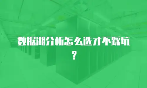 数据湖分析怎么选才不踩坑？