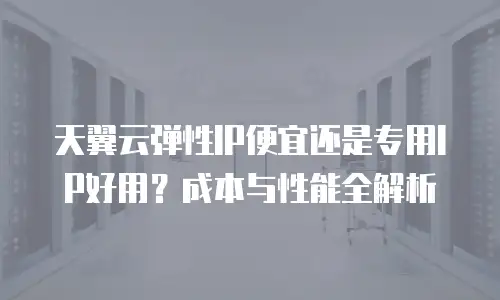 天翼云弹性IP便宜还是专用IP好用？成本与性能全解析