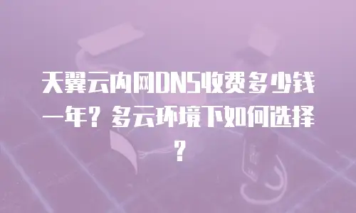 天翼云内网DNS收费多少钱一年？多云环境下如何选择？
