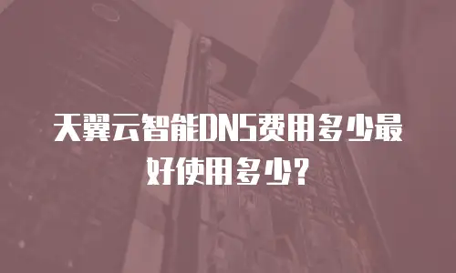 天翼云智能DNS费用多少最好使用多少？