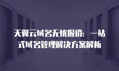 天翼云域名无忧报价：一站式域名管理解决方案解析