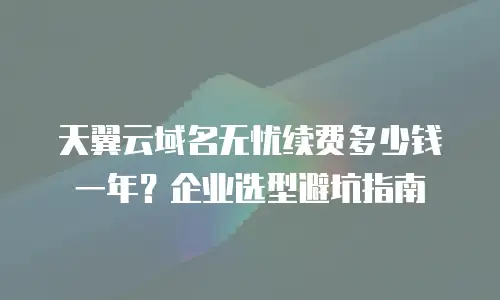 天翼云域名无忧续费多少钱一年？企业选型避坑指南