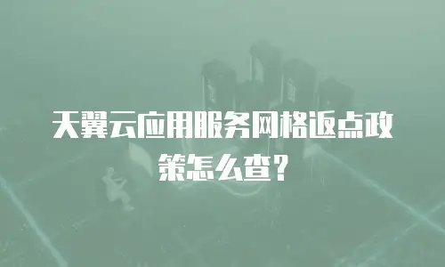 天翼云应用服务网格返点政策怎么查？