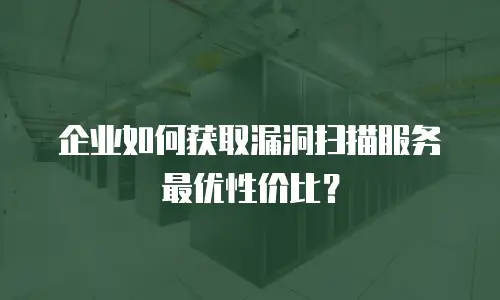 企业如何获取漏洞扫描服务最优性价比？