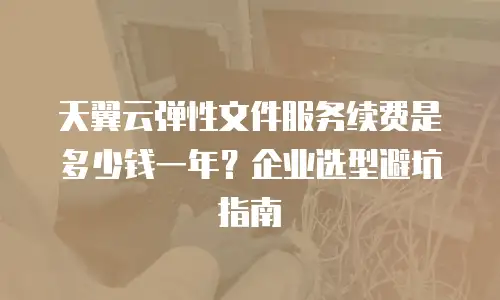 天翼云弹性文件服务续费是多少钱一年？企业选型避坑指南