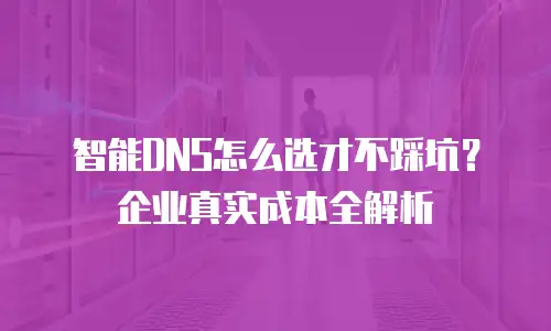 智能DNS怎么选才不踩坑？企业真实成本全解析