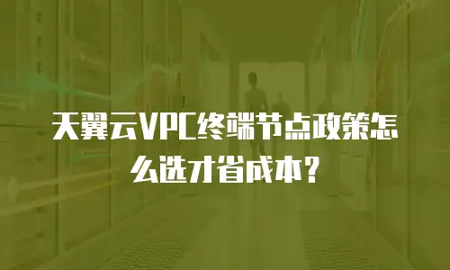 天翼云VPC终端节点政策怎么选才省成本？