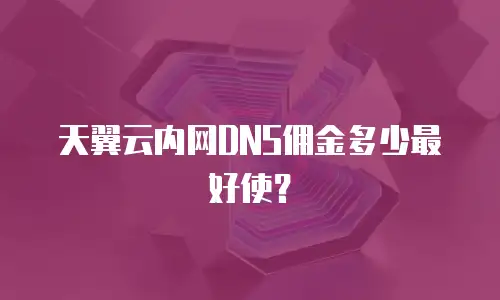 天翼云内网DNS佣金多少最好使？