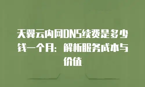 天翼云内网DNS续费是多少钱一个月：解析服务成本与价值