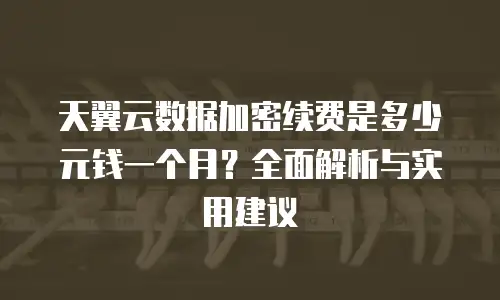 天翼云数据加密续费是多少元钱一个月？全面解析与实用建议