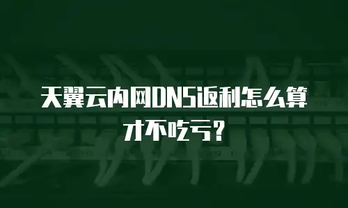 天翼云内网DNS返利怎么算才不吃亏？