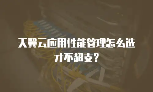 天翼云应用性能管理怎么选才不超支？