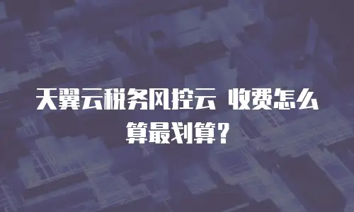 天翼云税务风控云 收费怎么算最划算？