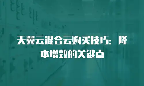 天翼云混合云购买技巧：降本增效的关键点