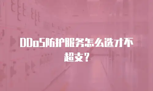 DDoS防护服务怎么选才不超支？