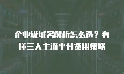企业级域名解析怎么选？看懂三大主流平台费用策略
