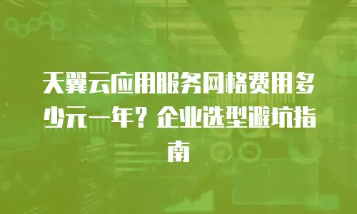 天翼云应用服务网格费用多少元一年？企业选型避坑指南