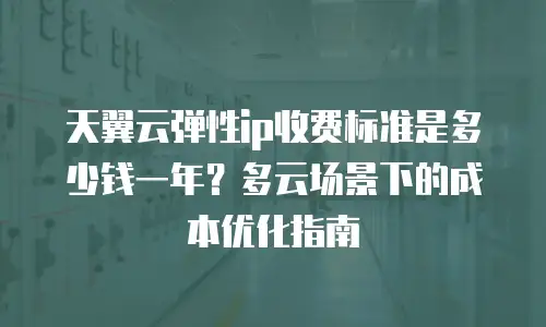 天翼云弹性ip收费标准是多少钱一年？多云场景下的成本优化指南