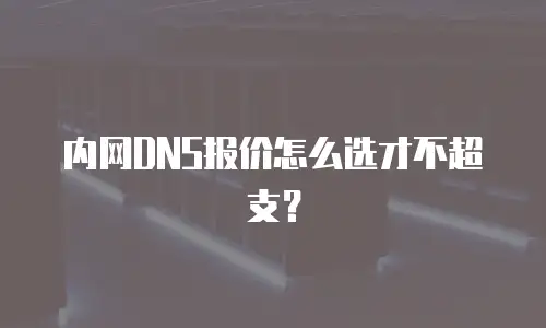 内网DNS报价怎么选才不超支？