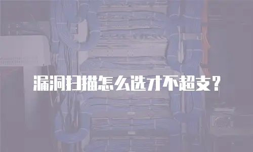 漏洞扫描怎么选才不超支？