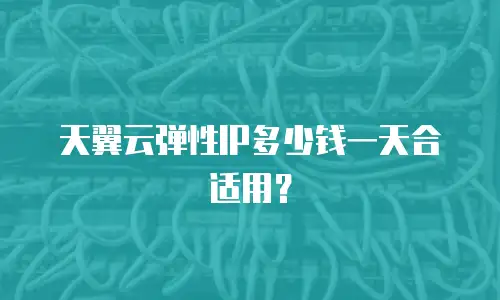 天翼云弹性IP多少钱一天合适用？