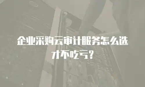 企业采购云审计服务怎么选才不吃亏？